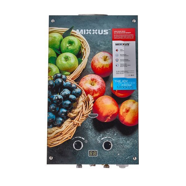 Газовая колонка MIXXUS GWH-0310 BASIC GLASS дымоходная 10 л/мин (панель из стекла с рисунком) (WH0024) WH0024 фото
