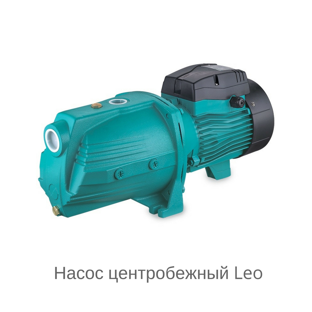 Nasos_centrobejnuy_Leo.jpg