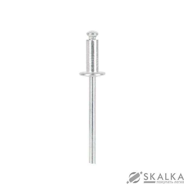 Заклепка алюминиевая Intertool 4.0*10мм, упаковка 50шт (RT-4010) На фото Заклепка алюминиевая Intertool 4.0*10мм, упаковка 50шт (RT-4010)