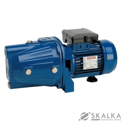 На фото Поверхностный самовсасывающий насос Speroni CAM 100 HL 0.75 кВт (101161330)