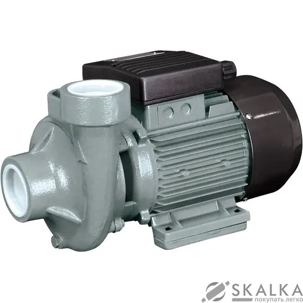 На фото Поверхностный насос CPQm17 Rudes