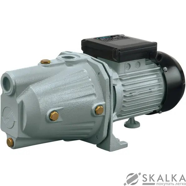 На фото Поверхностный насос JET100 Rudes