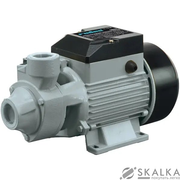 На фото Поверхностный насос QB60B Rudes