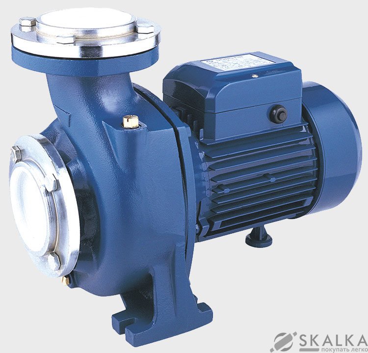 На фото Поверхностный насос Euroaqua (NFm130B)