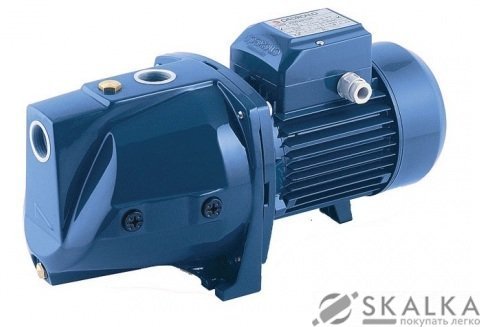 Насос центробежный самовсасывающий Werk JSW8M (34233) На фото Насос центробежный самовсасывающий Werk JSW8M (34233)