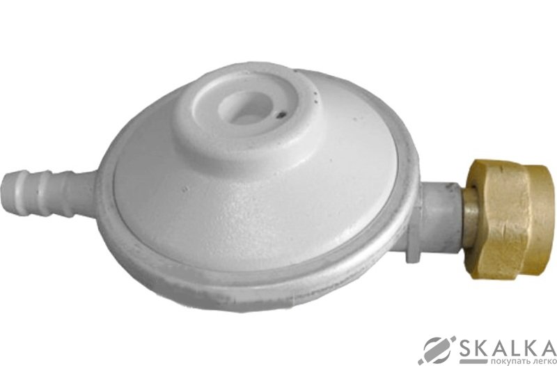 На фото Регулятор давления Novogas РДСГ 1-0,5 (58971)