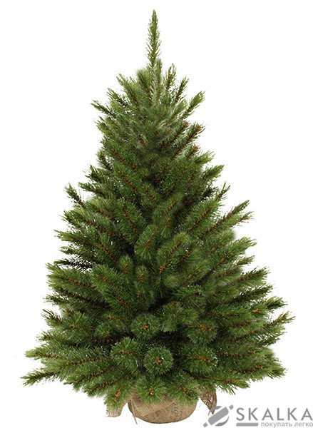 На фото Сосна TriumphTree 60 см с инеем Forest Frosted (386252)