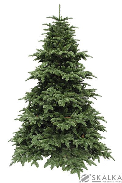 На фото Ель TriumphTree 230 см Abies Nordmann de Luxe зеленая (389518)