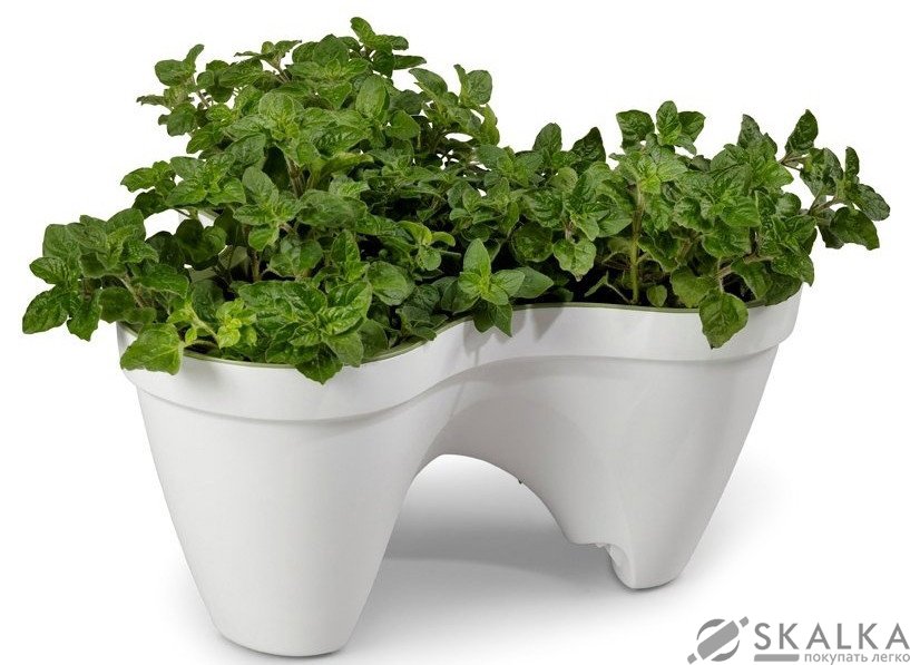 Горшок для цветов Keter IVY Planter (7290103661380) На фото Горшок для цветов Keter IVY Planter (7290103661380)
