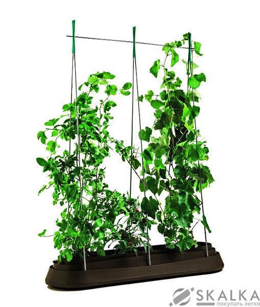 Грядка для растений Keter G-Row коричневая (7290106927667) На фото Грядка для растений Keter G-Row коричневая (7290106927667)