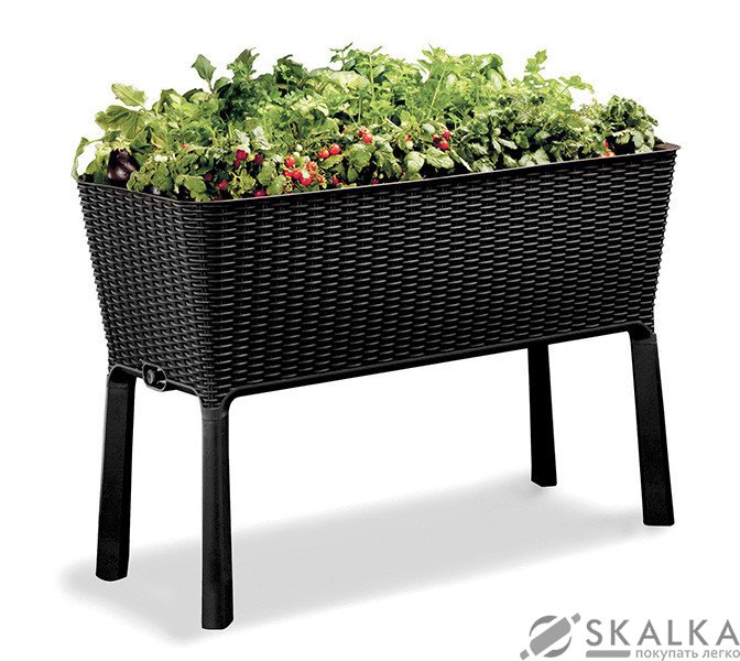 Грядка для растений Keter Easy Grow серая (7290103660833) На фото Грядка для растений Keter Easy Grow серая (7290103660833)