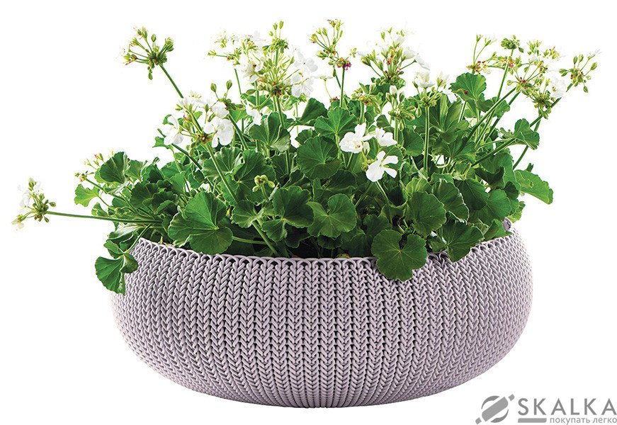 На фото Кашпо Keter 54 см Cozies L фиолетовое (7290106929654)