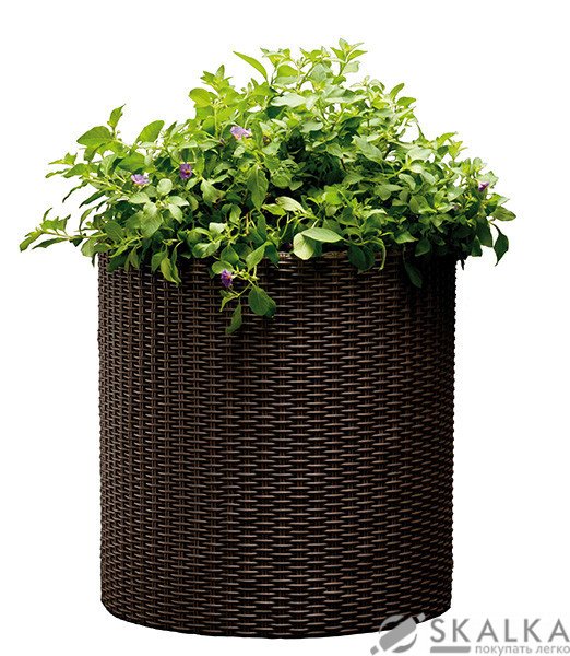Кашпо для цветов Keter Cylinder Planter Medium коричневое (7290103664190) На фото Кашпо для цветов Keter Cylinder Planter Medium коричневое (7290103664190)