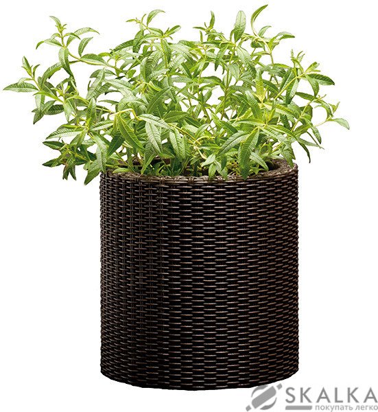 Кашпо для цветов Keter Cylinder Planter Small коричневое (7290103664183) На фото Кашпо для цветов Keter Cylinder Planter Small коричневое (7290103664183)