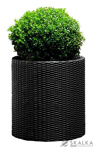 На фото Кашпо для цветов Keter Cylinder Planter Large серое (7290103669430)