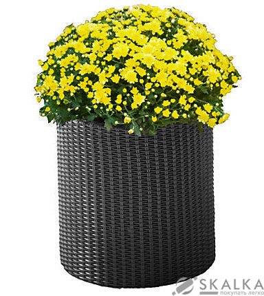 Кашпо для цветов Keter Cylinder Planter Medium серое (7290103668211) На фото Кашпо для цветов Keter Cylinder Planter Medium серое (7290103668211)