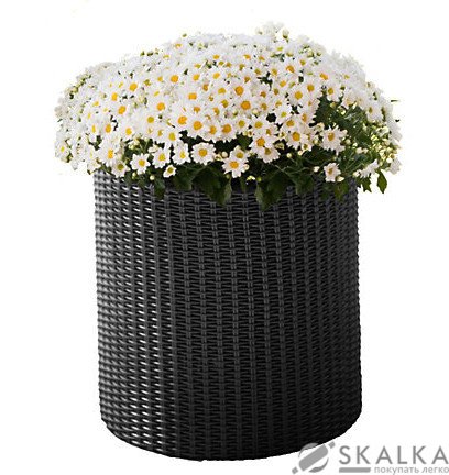 На фото Кашпо для цветов Keter Cylinder Planter Small серое (7290103668204)