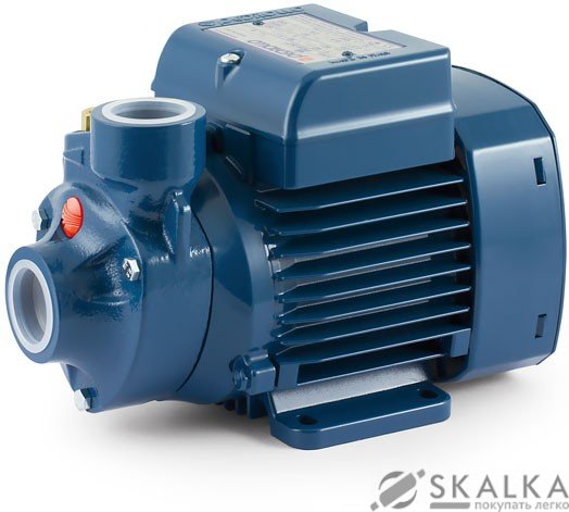 На фото Насос вихревой Pedrollo PKM 60