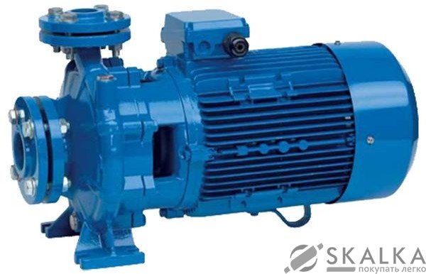 На фото Центробежный моноблочный насос Speroni CS50-200B (трехфазный)