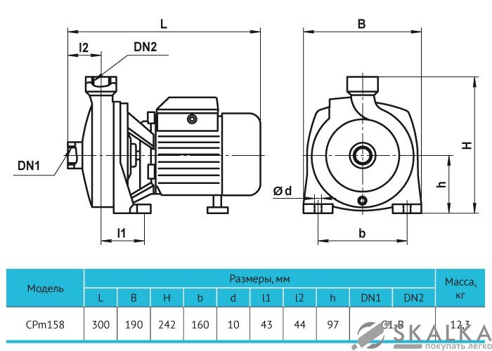 На фото Поверхностный насос CPm158 Rudes
