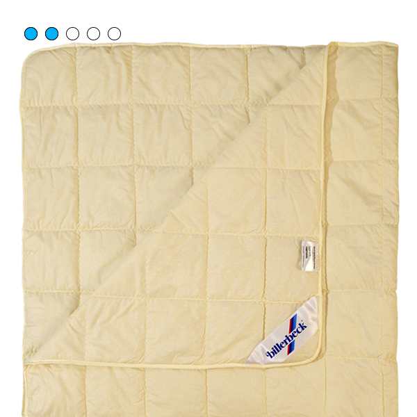 Одеяло Billerbeck Идеал + облегченная 220х240 (0106-16/04)