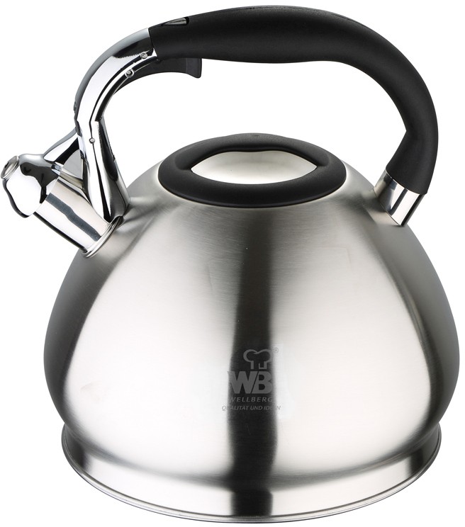 Чайник Wellberg 4.5 л (WB-6238)