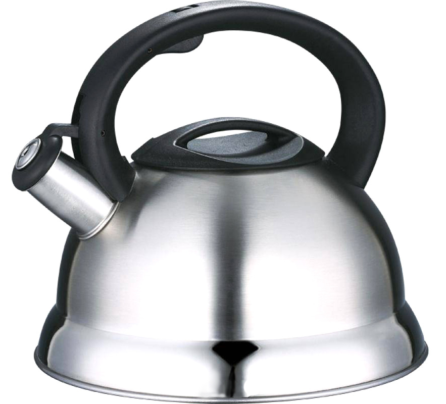 Чайник со свистком Wellberg 2.5 л (WB-3786)