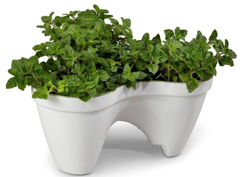 Горшок для цветов Keter IVY Planter (7290103661380)