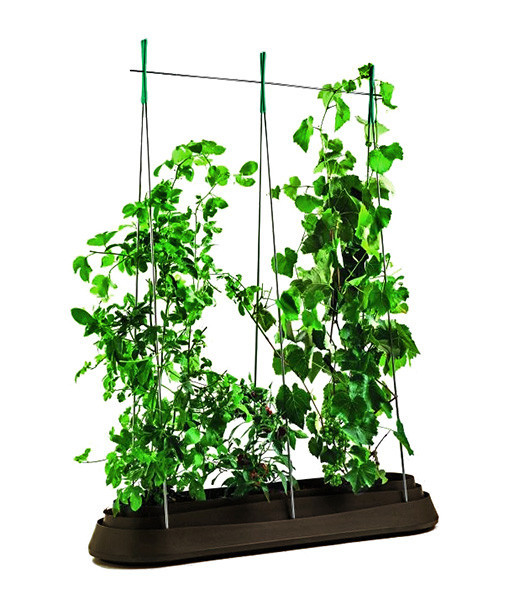 Грядка для растений Keter G-Row коричневая (7290106927667)