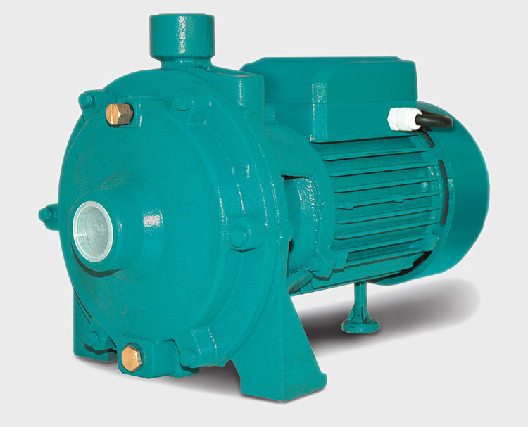 Поверхностный насос Euroaqua (2CPM)