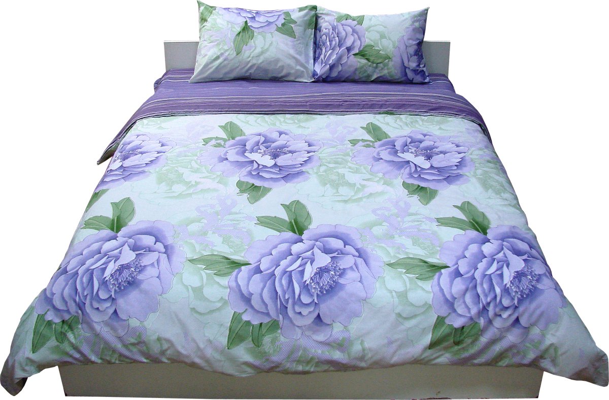 Комплект постельного белья Руно 220х240 см 4шт Евро Фиолетовый (845.114Г_F-09532(A+B))