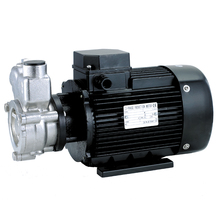 Поверхностный электронасос VARNA 20QY-1 SS