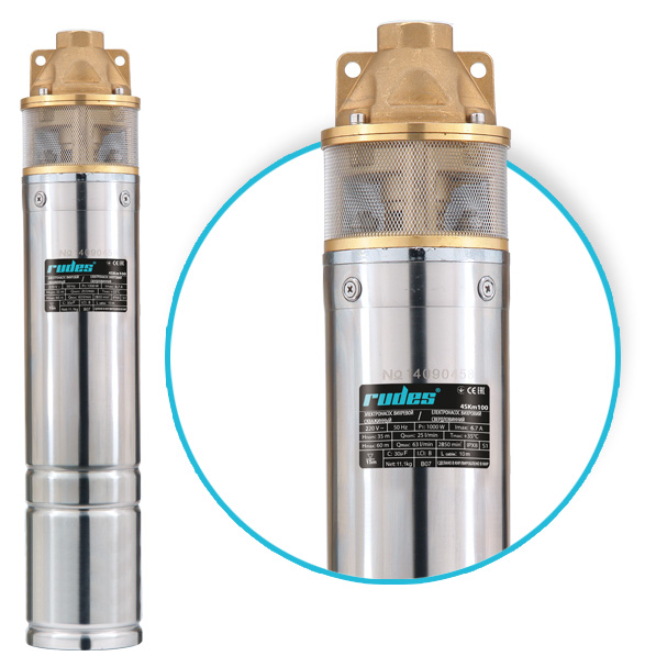 Скважинный насос 4SKm100 (кабель 10м + пульт защиты) Rudes