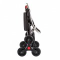 На фото Сумка-тележка Rolser I-Max Taku Logic Rd6 43 Lima (925972)