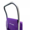 На фото Сумка-тележка Rolser Pep MF Joy 39 Lima (926695)