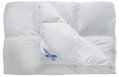 Одеяло Billerbeck Магнолия К2 Пух/перо 140х205 см Белое (0590-02/01) На фото Одеяло Billerbeck Магнолия К2 Пух/перо 140х205 см Белое (0590-02/01)