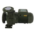 На фото Насос моноблочный IR 40-125A 3,0 кВт SAER (40 м3/ч, 27,5 м)