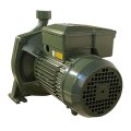 На фото Насос центробежный CB1 PL 2,2 кВт SAER (8 м3/ч, 59 м) однофазный