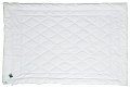 На фото Одеяло Руно Бамбук 200x220 см Белое с зеленым кантом (322.29БКУ)