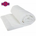 На фото Одеяло ТЕП White Collection Холлофайбер 210х170 см Белое