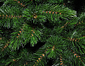 На фото Венок TriumphTree 60 см Forest frosted (386263)