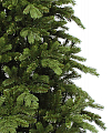 На фото Ель TriumphTree 215 см Sherwood de Luxe (389097)
