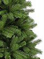 На фото Сосна TriumphTree 185 см Denberg (389376)