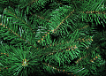 На фото Ель TriumphTree 155 см Scandia (88853)