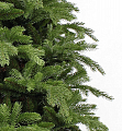 На фото Ель TriumphTree 230 см Alberta (387638)