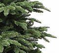 На фото Ель TriumphTree 230 см Abies Nordmann de Luxe зеленая (389518)