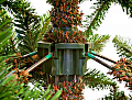 На фото Сосна TriumphTree 425 см Scandia зеленая (88860)
