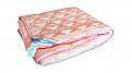 На фото Одеяло Leleka-Textile Оптима межсезонье Холлофайбер 200х220 см