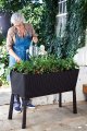 На фото Грядка для растений Keter Easy Grow серая (7290103660833)