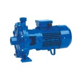 На фото Двухступенчатый центробежный насос Speroni 2C 40/180D трехфазный 2.2 кВт (101080870)